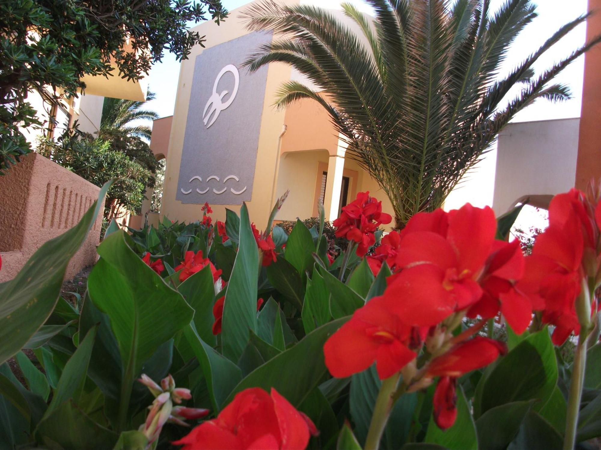 Almyra Apartments & Suites Sfáka 외부 사진
